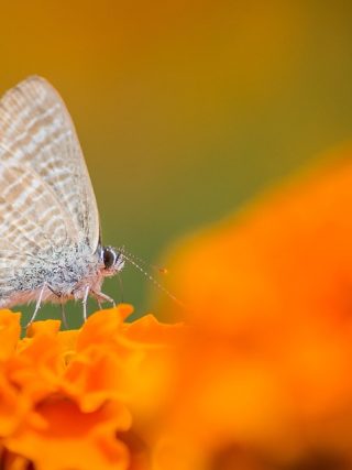 Brewing up a better lifestyle: How coffee can enhance your daily routines