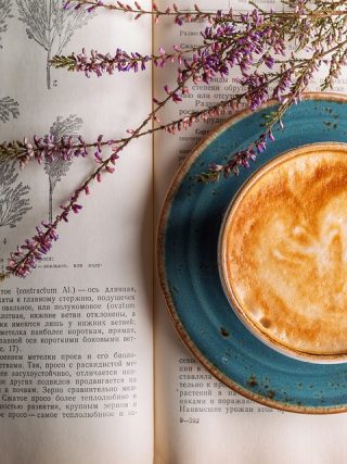 Coffee Connoisseurs: Top Picks for Equipment and Accessories to Enhance Your Brewing Experience