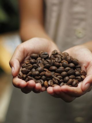 The Fascinating Journey of Coffee Beans from Farm to Cup