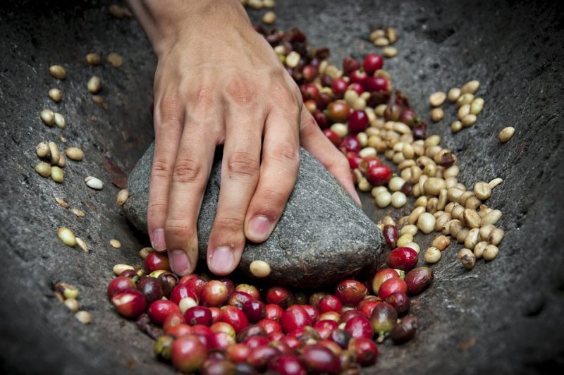 The Health Benefits of Coffee Beans: More Than Just a Morning Pick-Me-Up The Health Benefits of Coffee Beans: More Than Just a Morning Pick-Me-Up