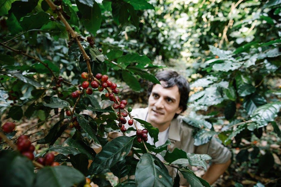 Mastering the Art of Growing coffee: Tips and Tricks